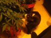 IMG_20130422_100404.jpg