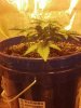 2013-04-23_19-04-23_695.jpg