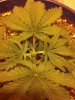2013-04-23_19-04-10_687.jpg
