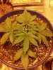 2013-04-23_19-04-05_906.jpg