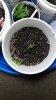 20190831_131647.jpg