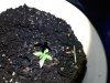 20190912_085222.jpg