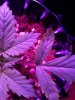 20190914_155553.jpg
