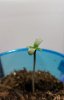 20190917_034631.jpg