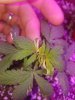 20190924_045914.jpg