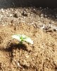 20190928_110959.jpg