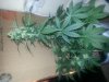 20130421_185904.jpg
