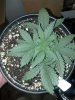 2013-04-23_19-06-32_561.jpg
