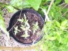 100_0613.jpg