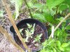 100_0614.jpg