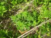 100_0616.jpg