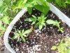 100_0629.jpg