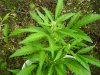 100_0630.jpg