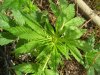 100_0641.jpg