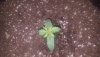 20190929_215436.jpg