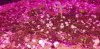 20190930_220758.jpg