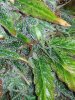 IMG_20191008_134057.jpg