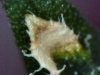 7C233EBA-6DEE-404D-A06E-55C5E59B361D.jpeg