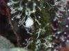 D3204988-0830-4CD3-8104-7D520E6DD301.jpeg