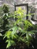 5C71FA71-8837-4C00-AAFC-6479D2456081.jpeg