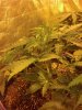 2013-04-27_17-16-59_912.jpg