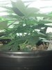 2013-04-27_17-18-38_57.jpg