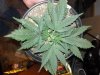 2013-04-27_17-18-28_104.jpg