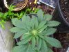 100_0777.jpg