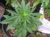 100_0792.jpg