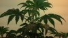 2013-04-30_10-21-49_716.jpg