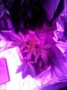 IMG_20130430_102148.jpg