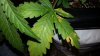 20130430_195856.jpg