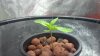 grow.jpg