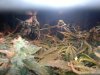 2013-05-01-1378.jpg