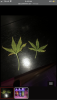 47A9A99B-A48B-4FB8-AB19-B2E5939A52DE.png
