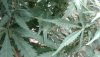 20191030_195445.jpg