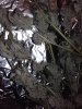 20191030_192954.jpg