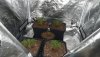 IMG-20191101-WA0014.jpg