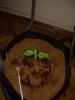 IMG_20191023_172737304.jpg