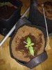 IMG_20191023_172742650.jpg