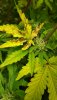 IMG_20191113_152511.jpg