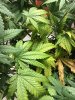 IMG_0407.JPG