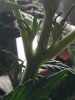 IMG_20191114_084043.jpg