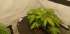 20191114_090329.jpg