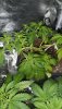 IMG-20191114-WA0013.jpg