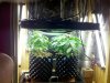 2013-05-02_17-19-42_158.jpg
