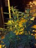 2013-05-03_21-49-59_216.jpg