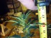 2013-05-03_21-49-49_852.jpg