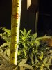 2013-05-03_21-50-39_660.jpg