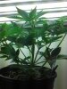 2013-05-03_21-53-06_771.jpg